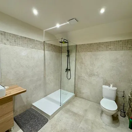 Loft De Charme En Centre Lägenhet